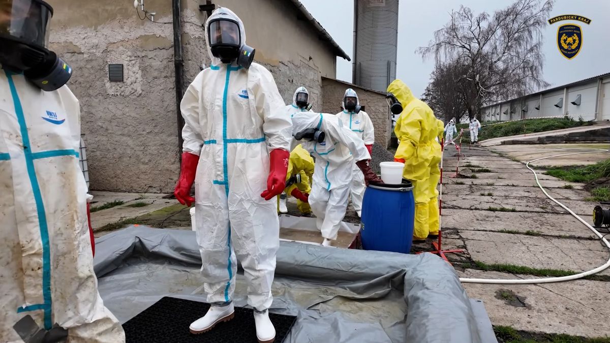 Likvidace nakaženého chovu drůbeže v Lanškrouně skončila